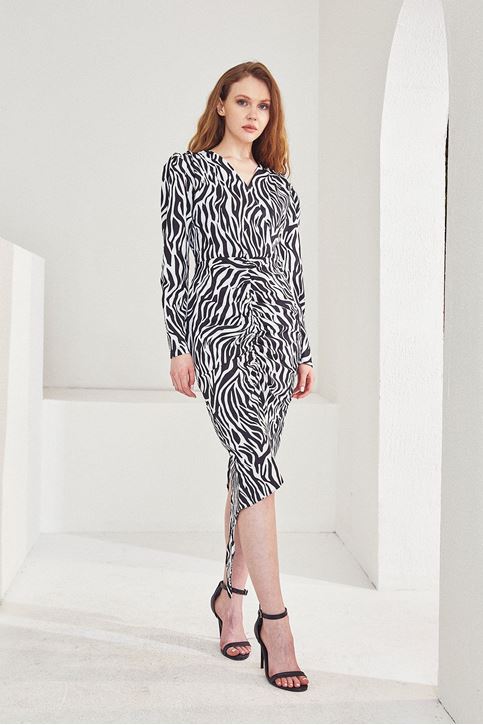 Zebra Desen Elbise-Siyah
